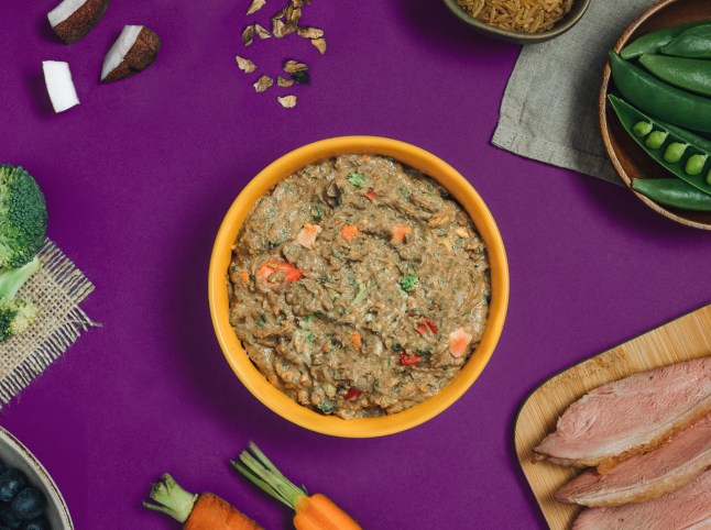 Pure Pet Food in a yellow dog bowl