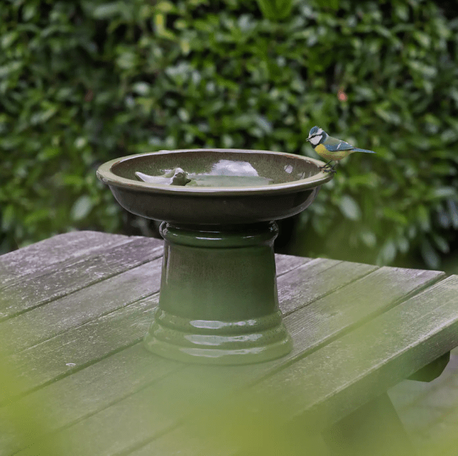 Fallen Fruits Small Terracotta Birdbath on Pedestal from Dunelm
