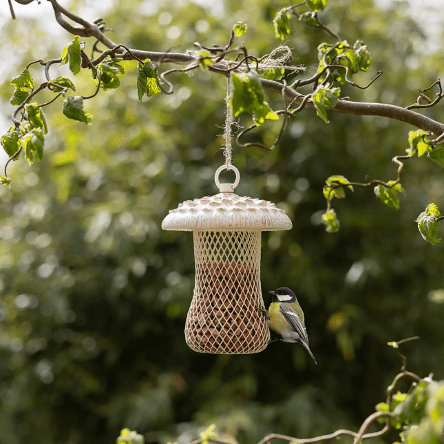 Fallen Fruits Mushroom Bird Feeder Parasol from Dunelm